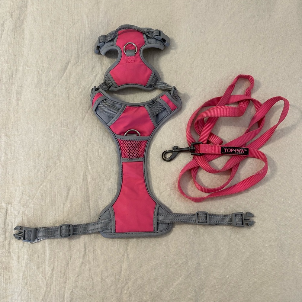 Top paw harness and leash